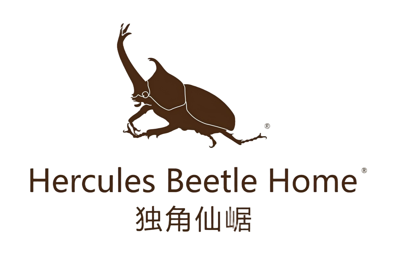 Hercules Beetle Home